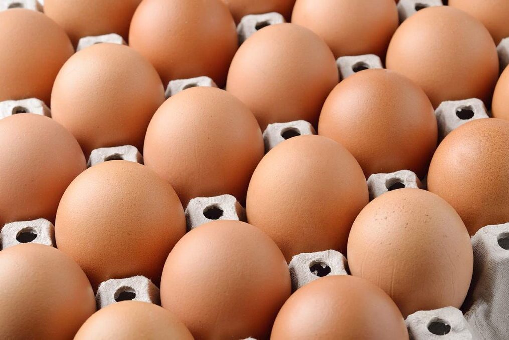 Claves para conservar os ovos frescos